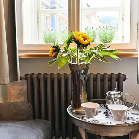 Nebovidy Ii - Air Conditioning - Historic Center Prague